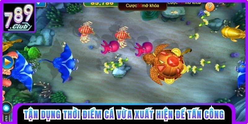 Tận dụng thời điểm cá vừa xuất hiện để tấn công