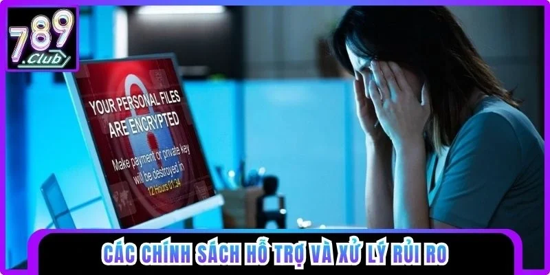 Các chính sách hỗ trợ và xử lý rủi ro